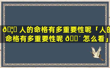 🦁 人的命格有多重要性呢「人的命格有多重要性呢 🐴 怎么看」